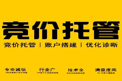 SEM推广案例：快速提升关键词排名